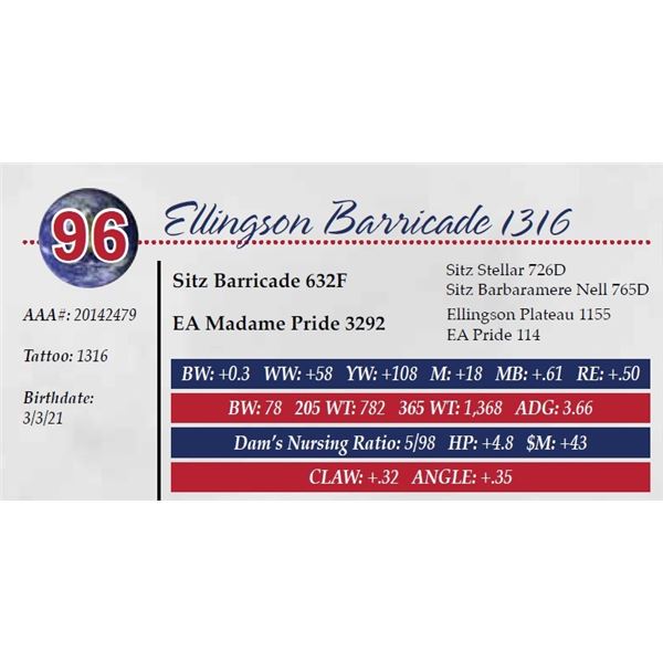 ELLINGSON BARRICADE 1316