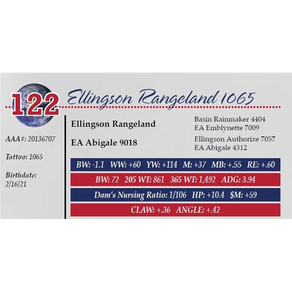 ELLINGSON RANGELAND 1065