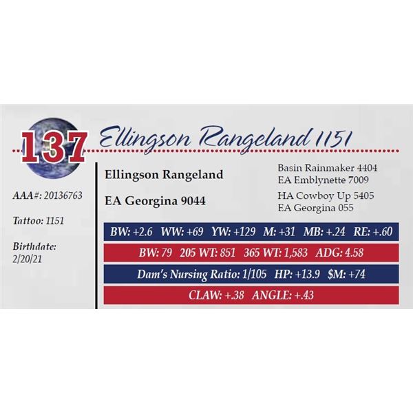 ELLINGSON RANGELAND 1151