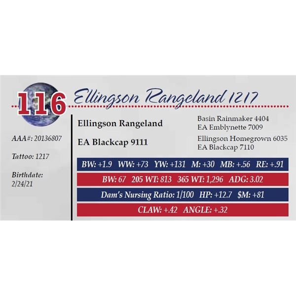 ELLINGSON RANGELAND 1217