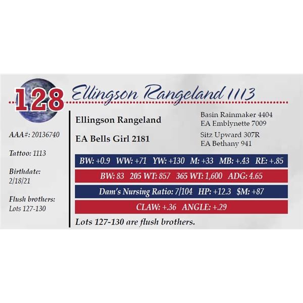 ELLINGSON RANGELAND 1113