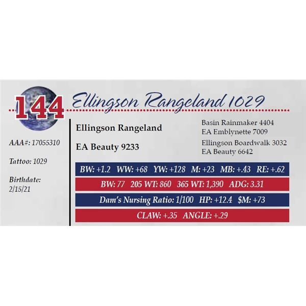 ELLINGSON RANGELAND 1029