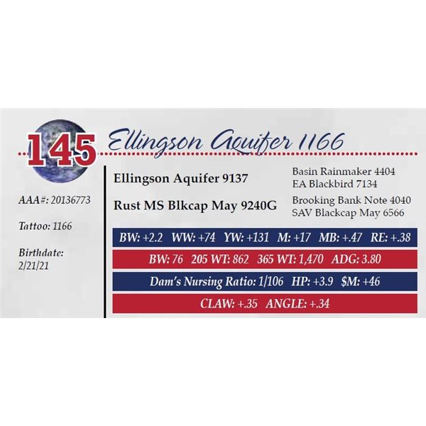 ELLINGSON AQUIFER 1166