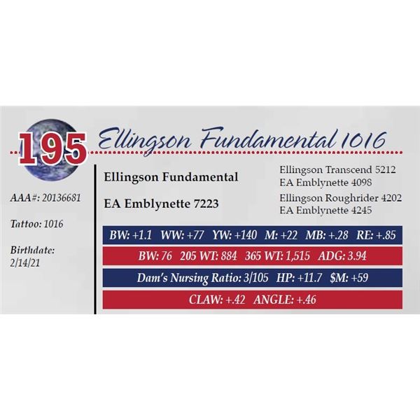 ELLINGSON FUNDAMENTAL 1016