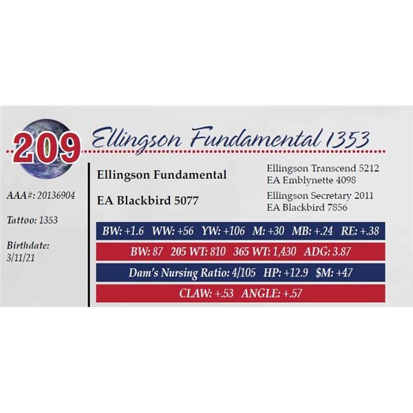 ELLINGSON FUNDAMENTAL 1353