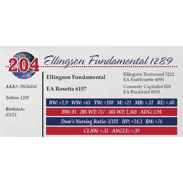 ELLINGSON FUNDAMENTAL 1289