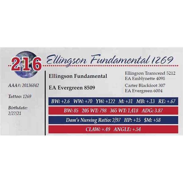 ELLINGSON FUNDAMENTAL 1269