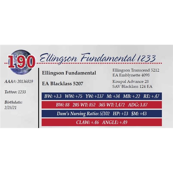 ELLINGSON FUNDAMENTAL 1233