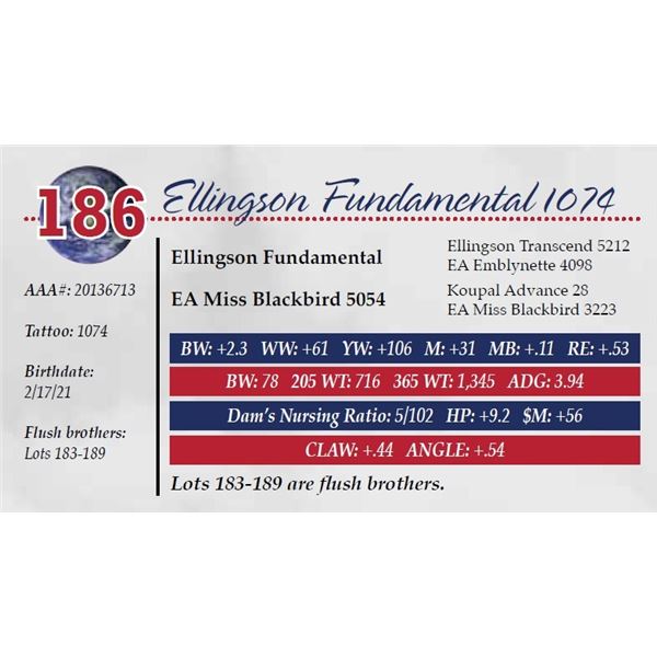 ELLINGSON FUNDAMENTAL 1074