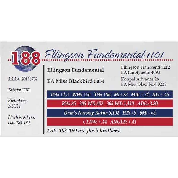 ELLINGSON FUNDAMENTAL 1101