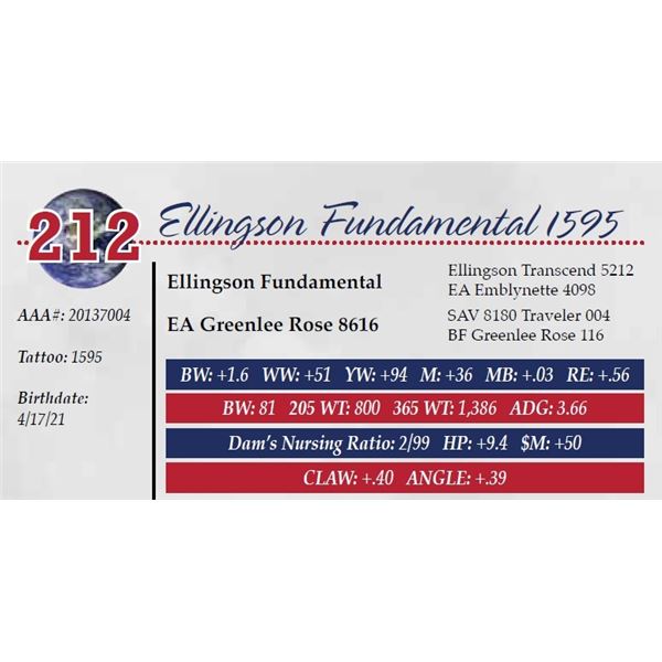 ELLINGSON FUNDAMENTAL 1595