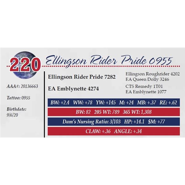 ELLINGSON RIDER PRIDE 0955