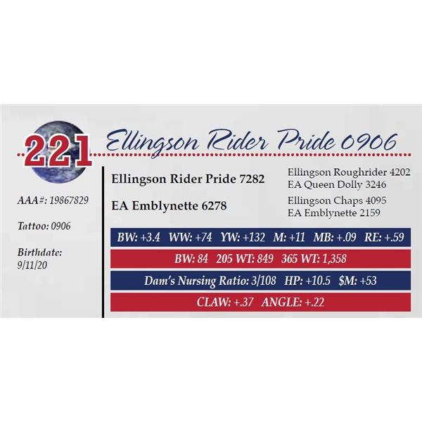 ELLINGSON RIDER PRIDE 0906