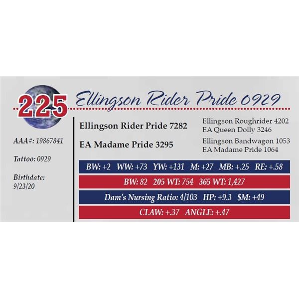 ELLINGSON RIDER PRIDE 0929