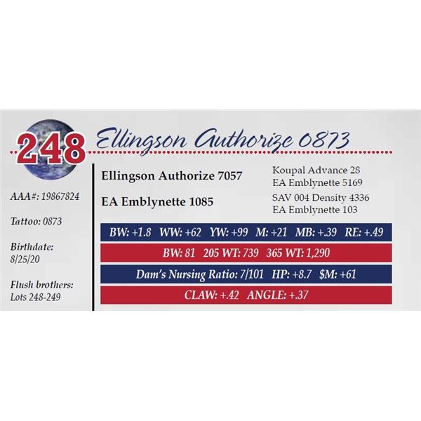 ELLINGSON AUTHORIZE 0873