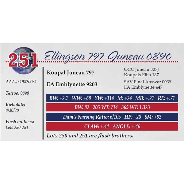 ELLINGSON 797 JUNEAU 0890