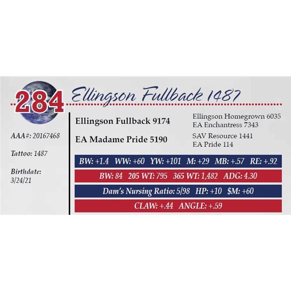 ELLINGSON FULLBACK 1487