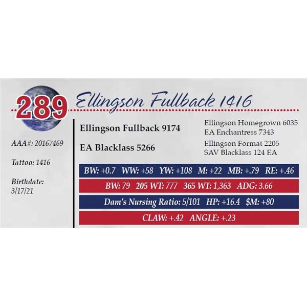 ELLINGSON FULLBACK 1416