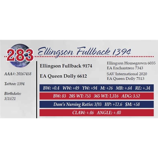 ELLINGSON FULLBACK 1394