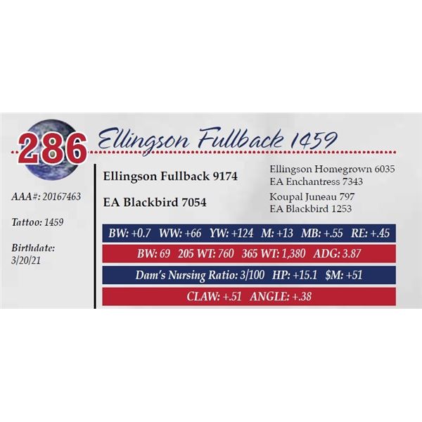 ELLINGSON FULLBACK 1459