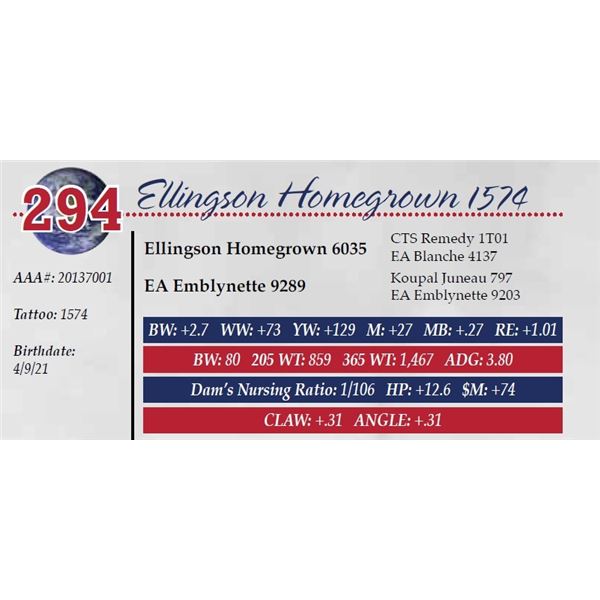 ELLINGSON HOMEGROWN 1574