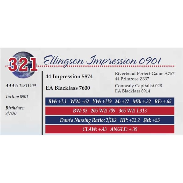 ELLINGSON IMPRESSION 0901