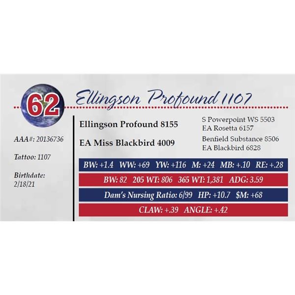 ELLINGSON PROFOUND 1107