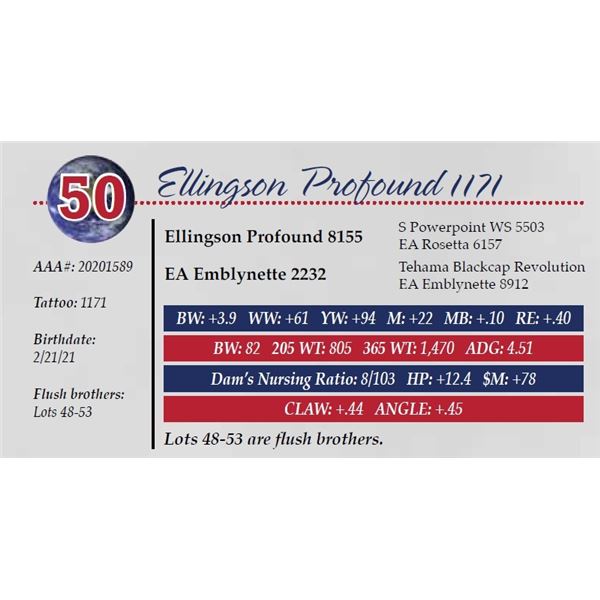 ELLINGSON PROFOUND 1171