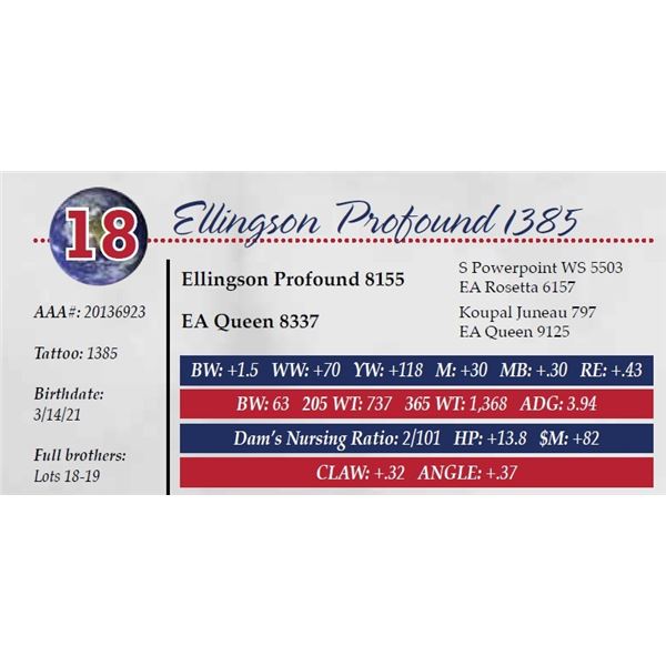 ELLINGSON PROFOUND 1385