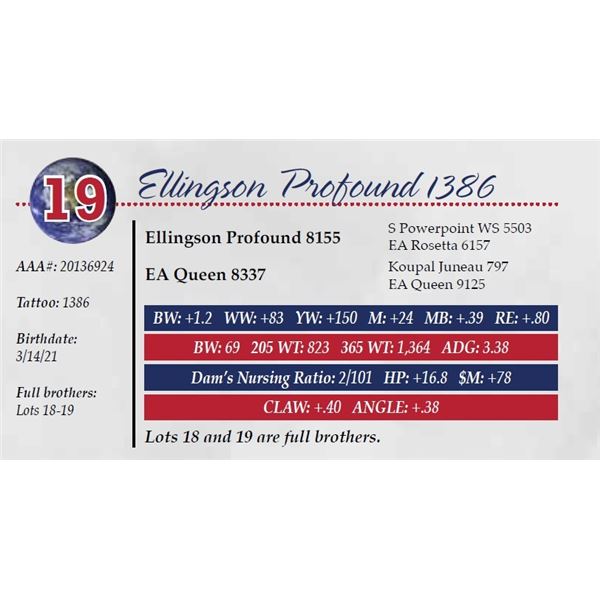 ELLINGSON PROFOUND 1386