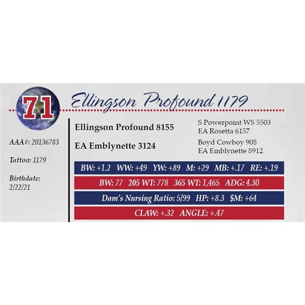 ELLINGSON PROFOUND 1179