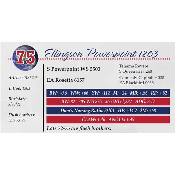 ELLINGSON POWERPOINT 1203