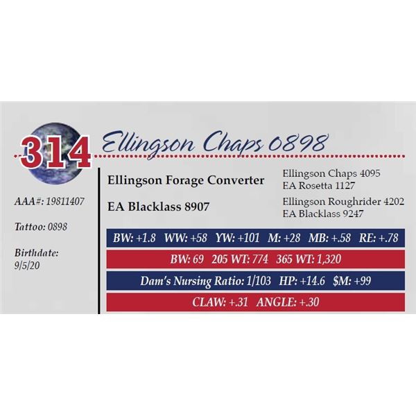 ELLINGSON CHAPS 0898