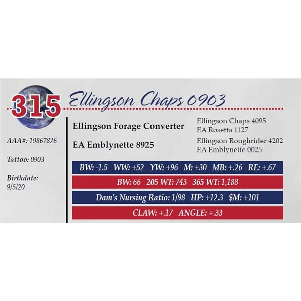 ELLINGSON CHAPS 0903