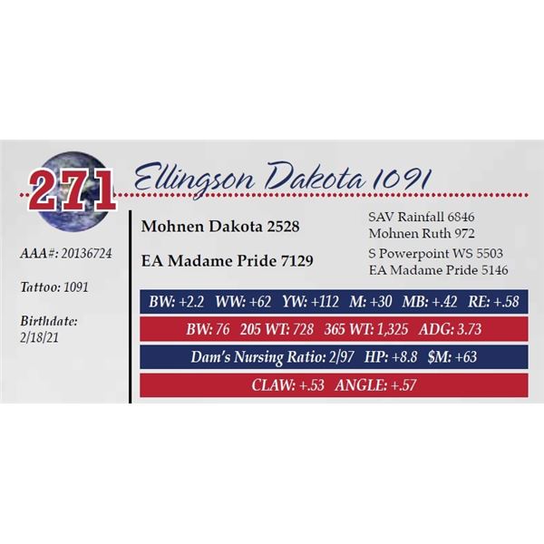 ELLINGSON DAKOTA 1091