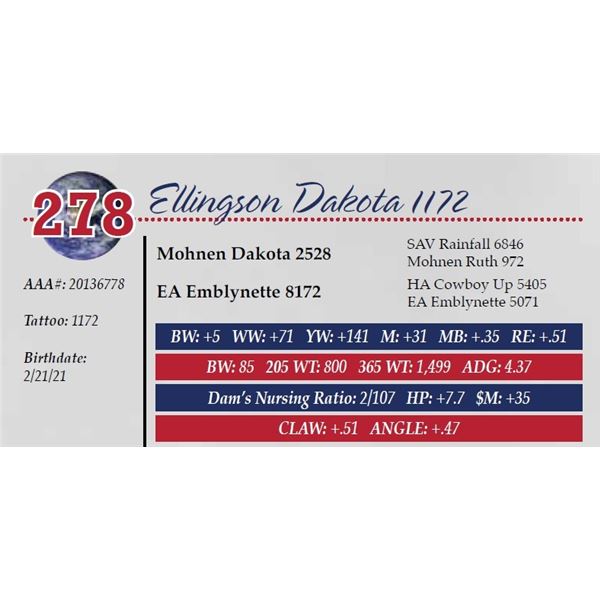 ELLINGSON DAKOTA 1172