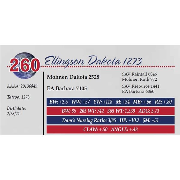 ELLINGSON DAKOTA 1273