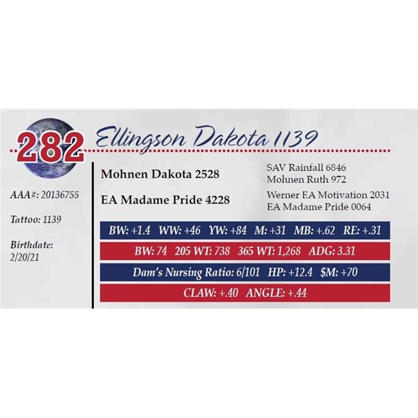ELLINGSON DAKOTA 1139