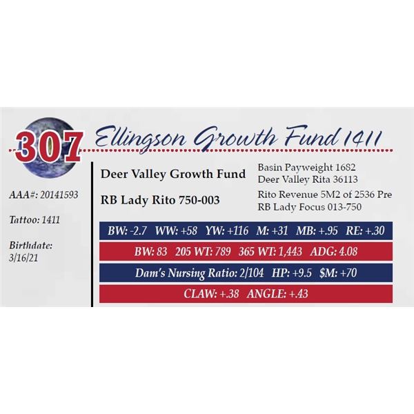 ELLINGSON GROWTH FUND 1411