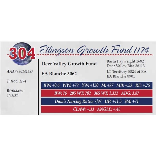 ELLINGSON GROWTH FUND 1174