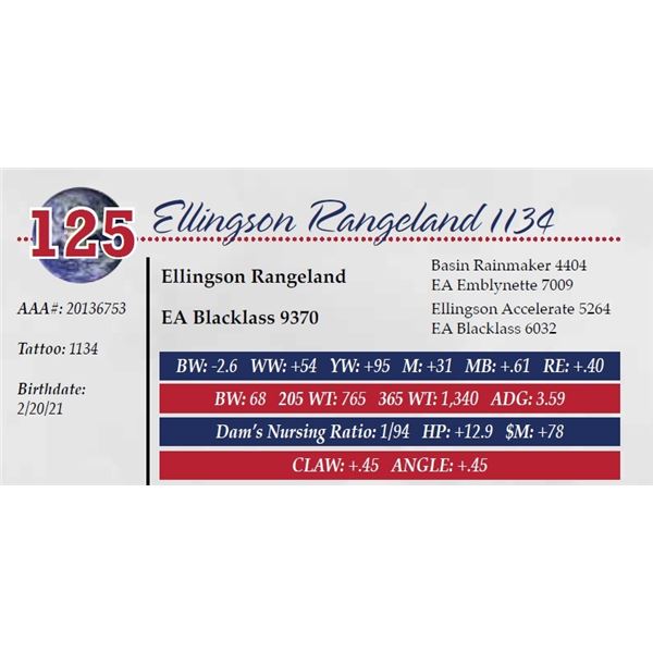 ELLINGSON RANGELAND 1134