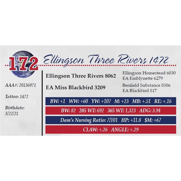 ELLINGSON THREE RIVERS 1472