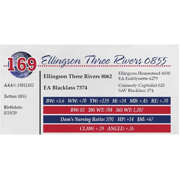ELLINGSON THREE RIVERS 0855