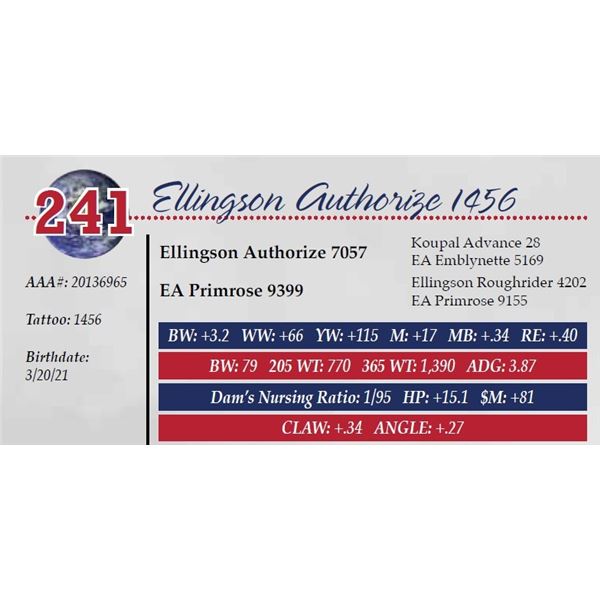 ELLINGSON AUTHORIZE 1456