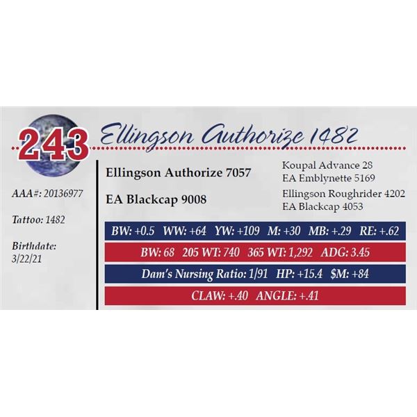 ELLINGSON AUTHORIZE 1482