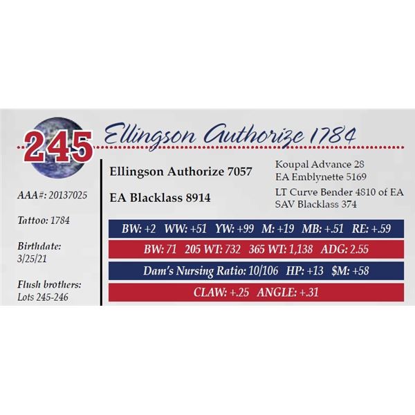 ELLINGSON AUTHORIZE 1784