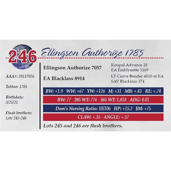 ELLINGSON AUTHORIZE 1785