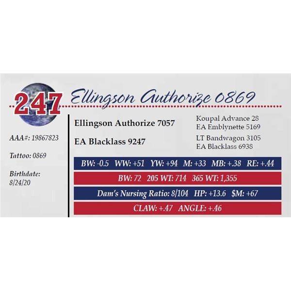 ELLINGSON AUTHORIZE 0869