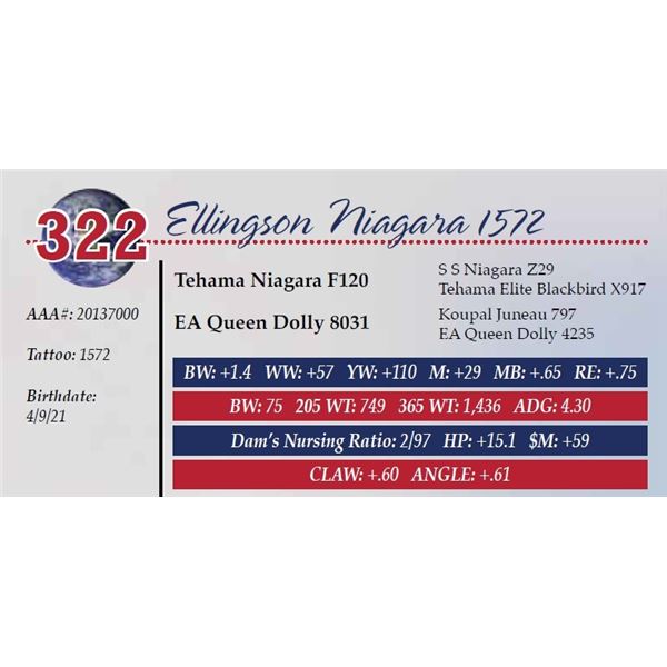 ELLINGSON NIAGARA 1572