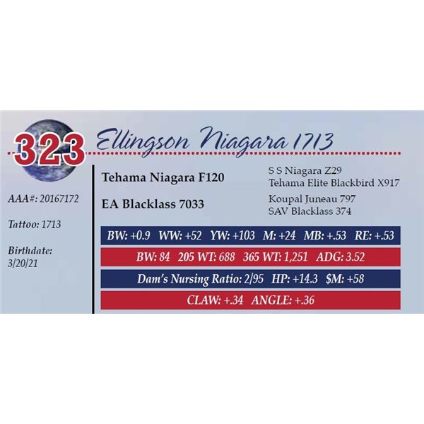 ELLINGSON NIAGARA 1713